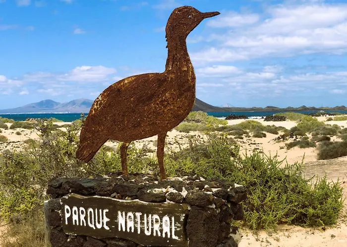 Brightblue Oasis By Sea There Fuerteventura Apartment *